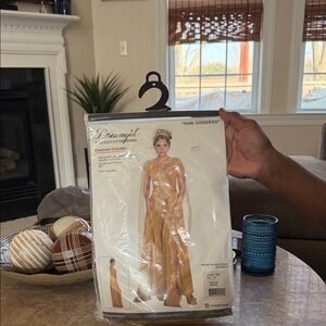 Dreamgirl Gold Sun Goddess Costume